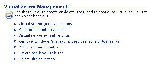 Virtual Server Settings Page