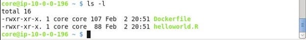 Listing the Dockerfile and R script in the CoreOS instance
