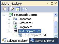 T4 templates have file extension of .tt