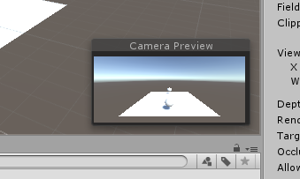 The camera preview window (visible when the camera is selected)